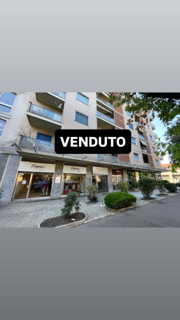 appartamento in vendita a Treviglio