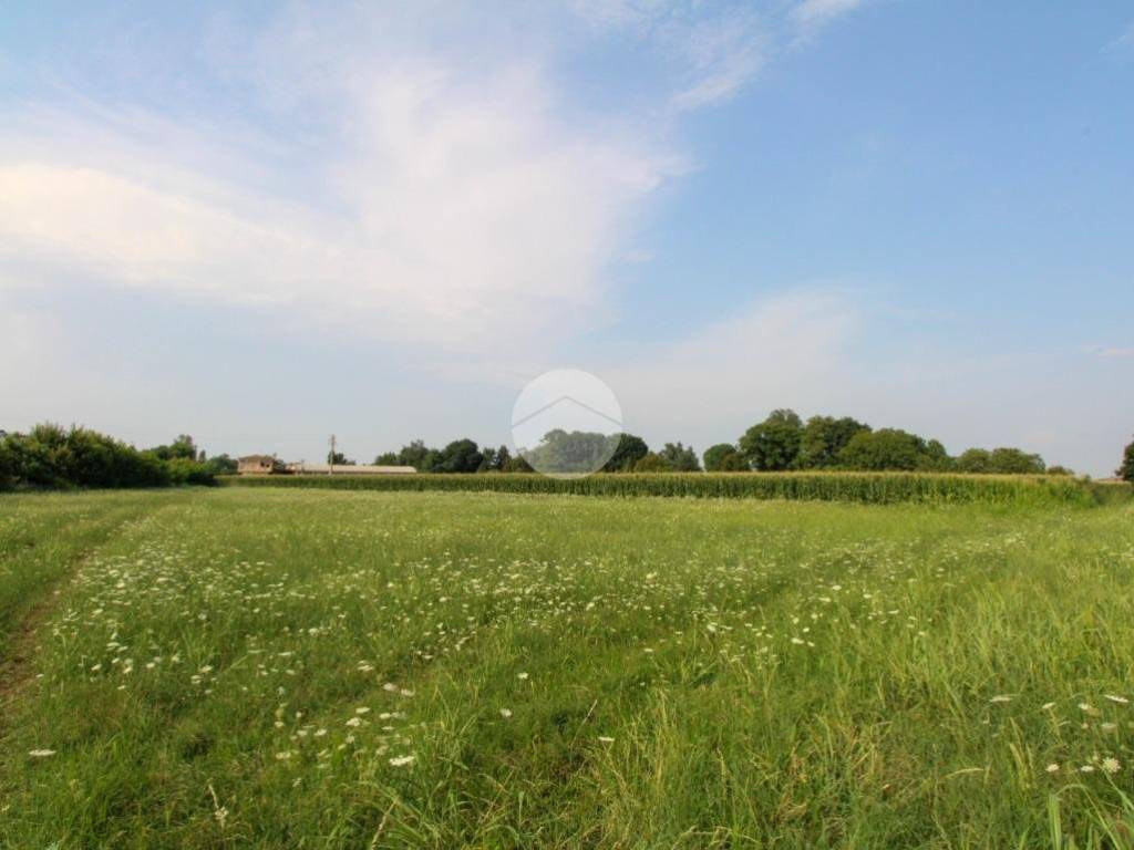 terreno agricolo in vendita a Treviglio