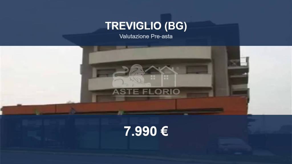 box auto in vendita a Treviglio