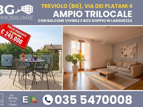 appartamento in vendita a Treviolo