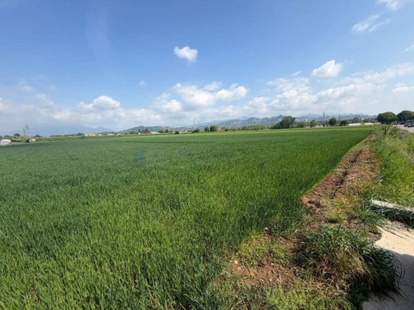 terreno agricolo in vendita a Treviolo in zona Curnasco
