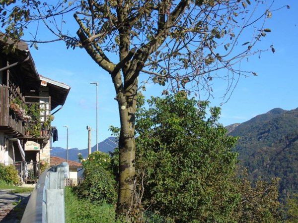 casa indipendente in vendita ad Ubiale Clanezzo