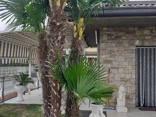 casa indipendente in vendita ad Urgnano