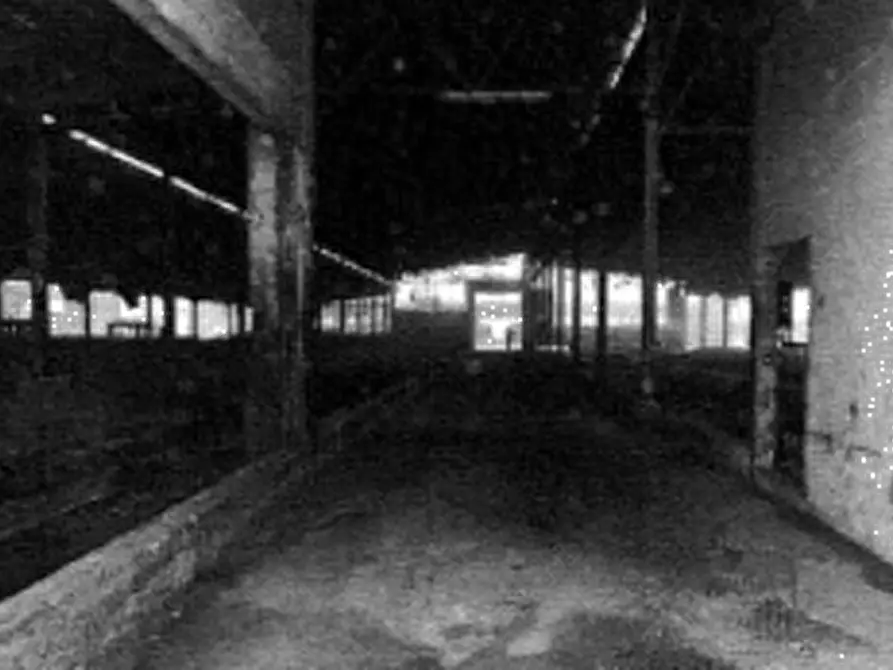azienda agricola in vendita ad Urgnano
