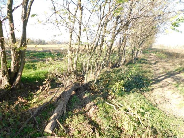 terreno agricolo in vendita ad Urgnano