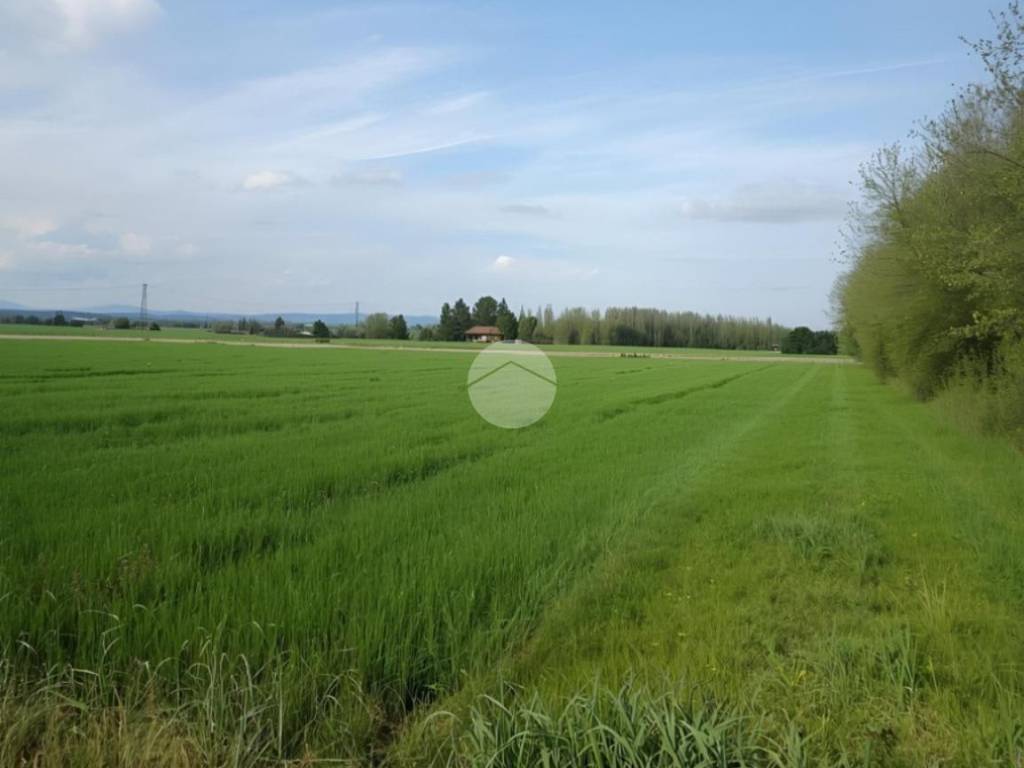 terreno agricolo in vendita ad Urgnano