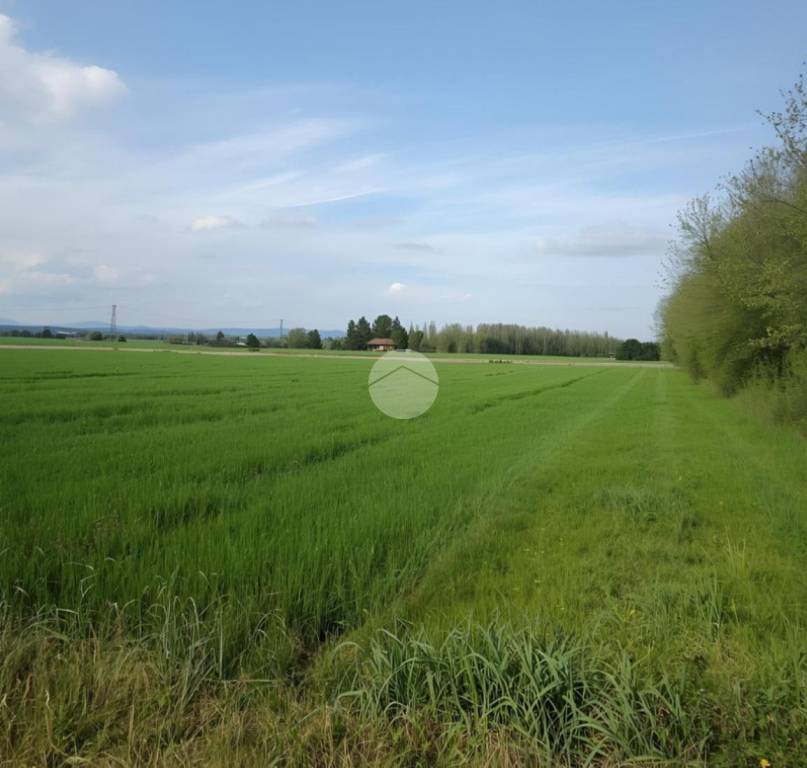 terreno agricolo in vendita ad Urgnano