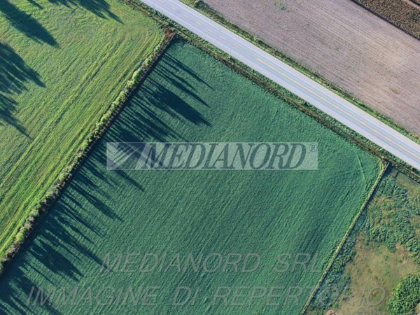 terreno in vendita ad Urgnano
