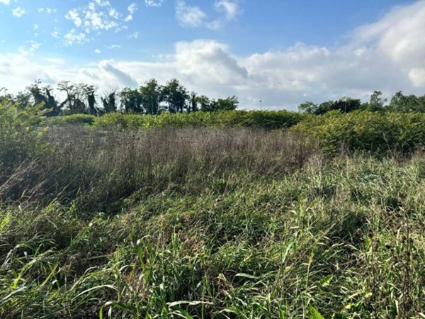 terreno in vendita ad Urgnano
