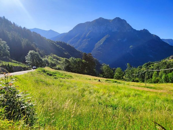 terreno agricolo in vendita a Valgoglio