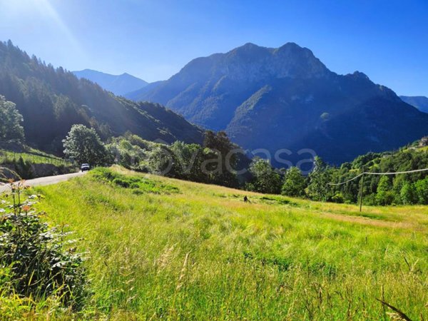 terreno agricolo in vendita a Valgoglio