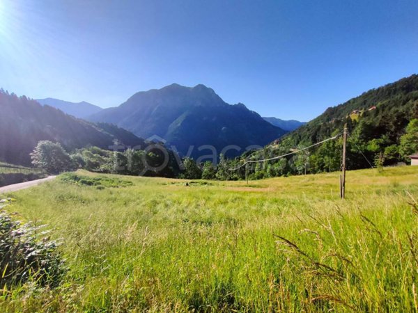 terreno agricolo in vendita a Valgoglio