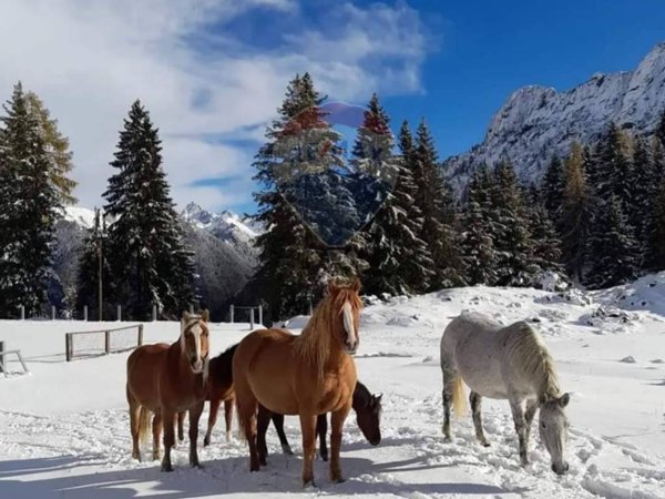 appartamento in vendita a Valleve
