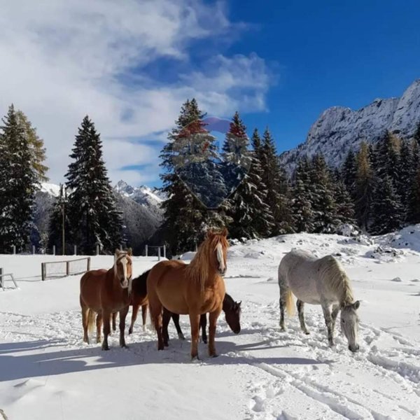 appartamento in vendita a Valleve