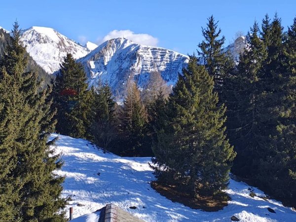 appartamento in vendita a Valleve