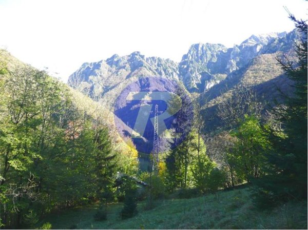 appartamento in vendita a Valtorta