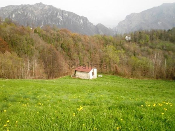 appartamento in vendita a Vedeseta