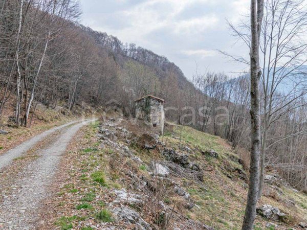 casa indipendente in vendita a Vedeseta
