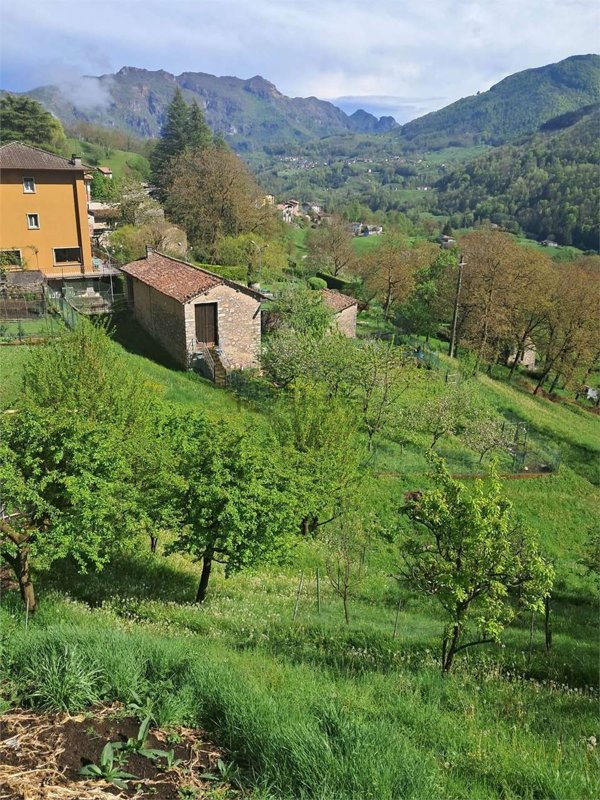 appartamento in vendita a Vedeseta