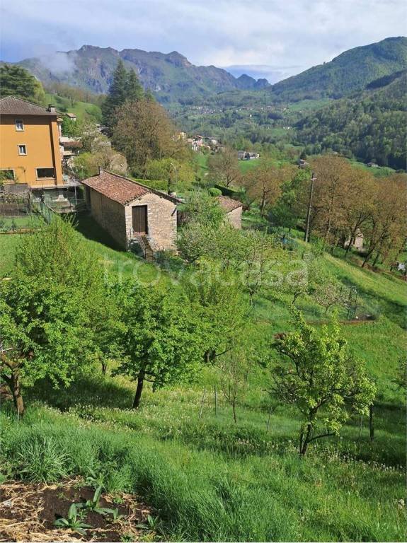 appartamento in vendita a Vedeseta