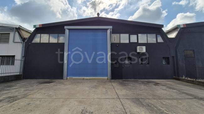 negozio in vendita a Verdello