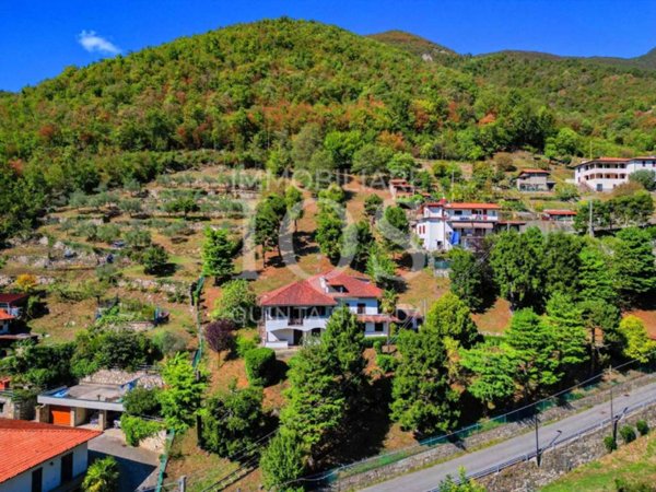casa indipendente in vendita a Viadanica in zona Colognola