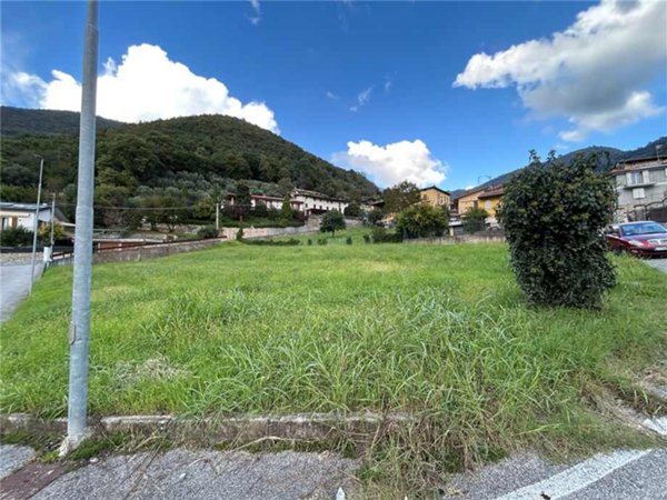 casa indipendente in vendita a Viadanica