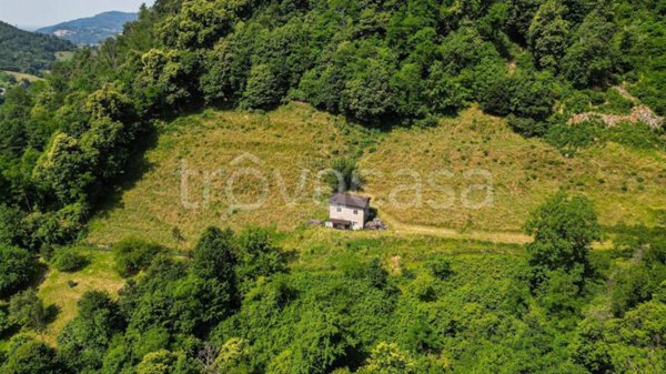 casa indipendente in vendita a Viadanica