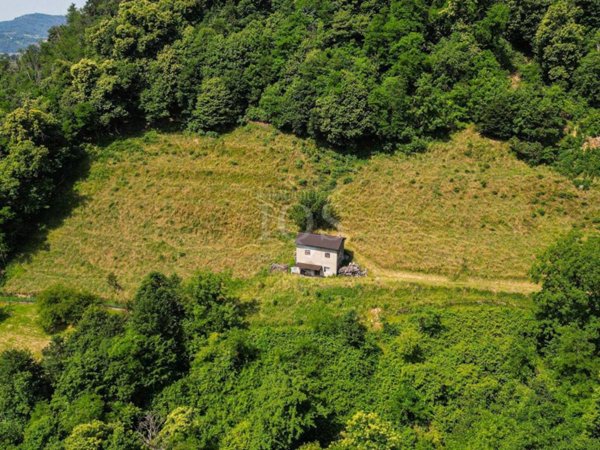 terreno agricolo in vendita a Viadanica