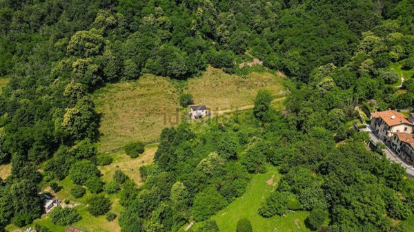 terreno agricolo in vendita a Viadanica