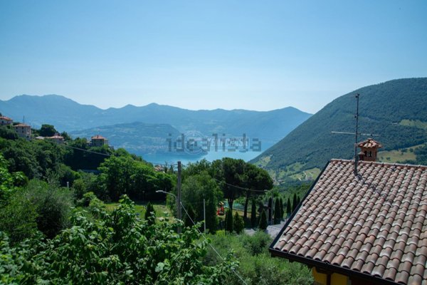 pentavano in vendita a Vigolo