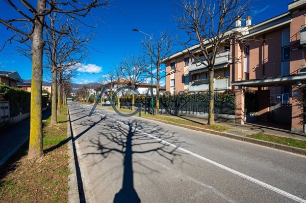 immagine annuncio 0 di 15