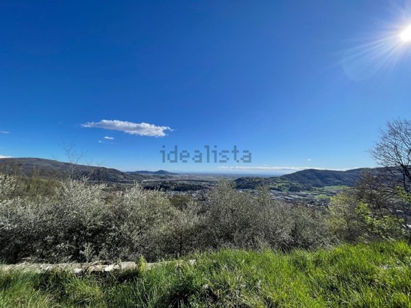 appartamento in vendita a Villongo
