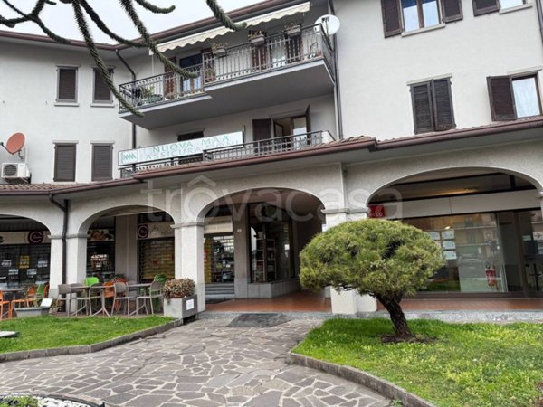 appartamento in vendita a Villongo