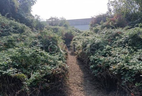terreno agricolo in vendita a Villongo
