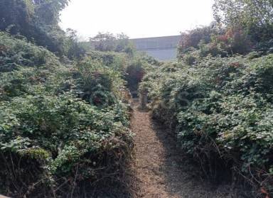 terreno agricolo in vendita a Villongo