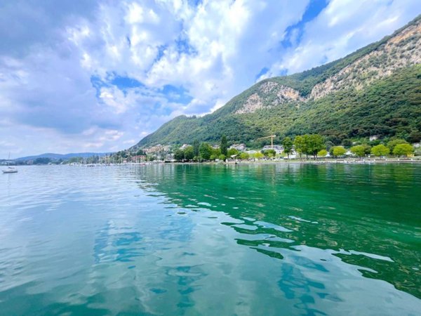 appartamento in vendita a Villongo