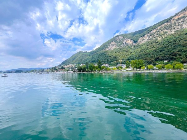 appartamento in vendita a Villongo