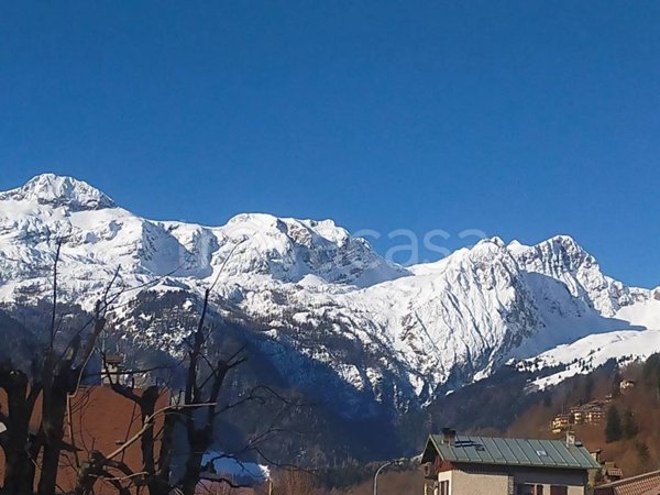 immagine annuncio 0 di 7