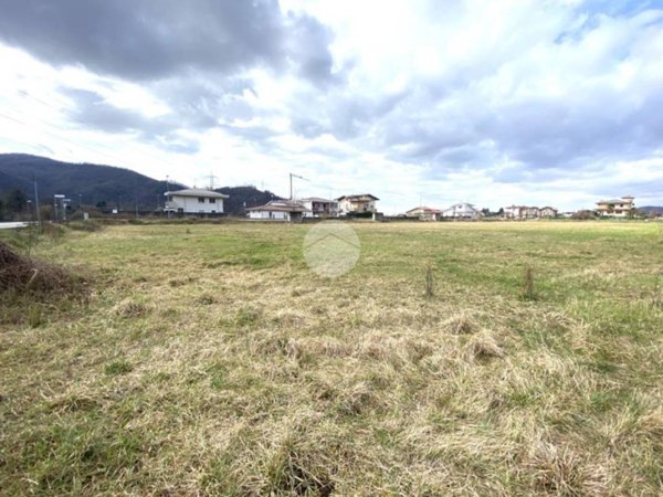 terreno agricolo in vendita a Zandobbio
