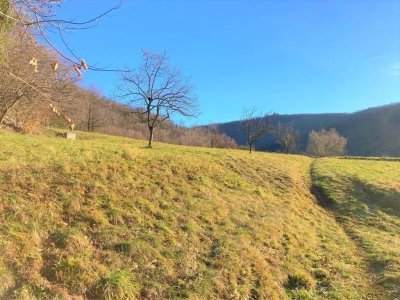 terreno edificabile in vendita a Zandobbio