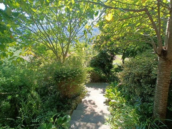 casa indipendente in vendita a Zandobbio in zona Selva