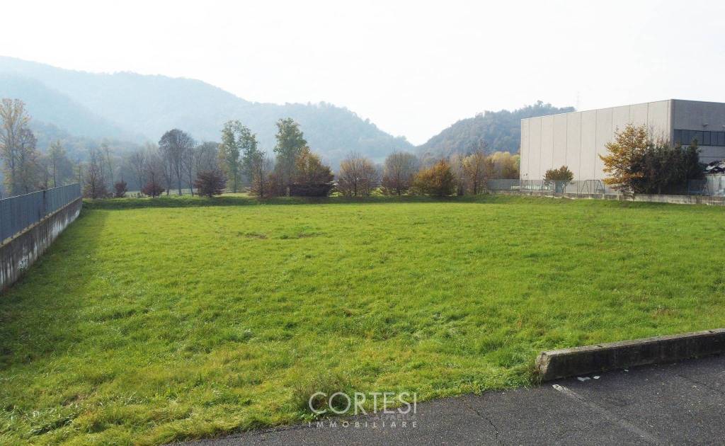 terreno agricolo in vendita a Zandobbio
