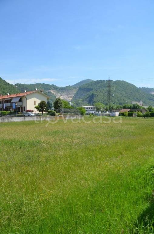 terreno agricolo in vendita a Zandobbio