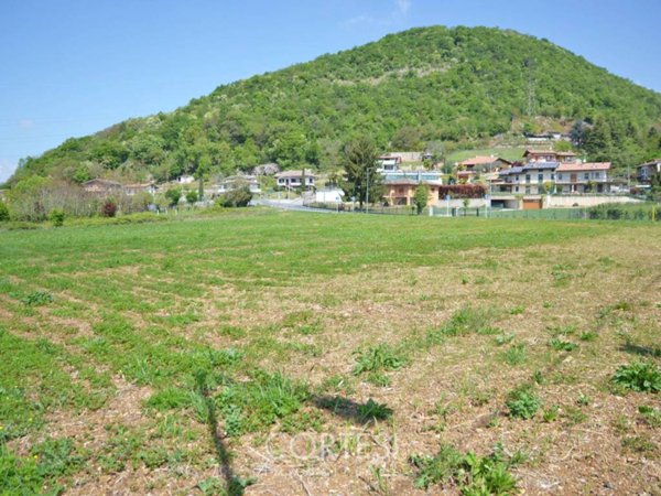 terreno agricolo in vendita a Zandobbio