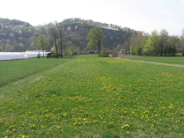 terreno edificabile in vendita a Zandobbio