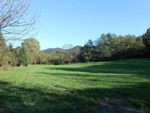 terreno agricolo in vendita a Zandobbio in zona Selva