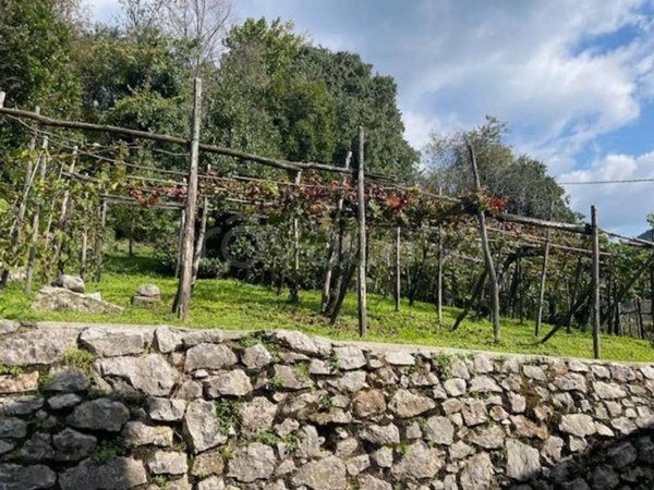 appartamento in vendita a Zandobbio in zona Selva