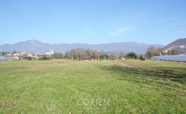 terreno agricolo in vendita a Zandobbio