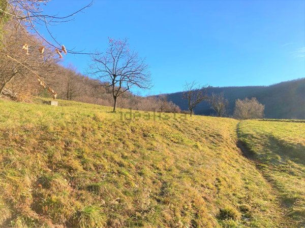 casa indipendente in vendita a Zandobbio